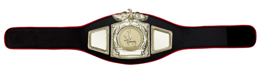 PROEAGLE WRESTLING CHAMPIONSHIP BELT - PROEAGLE/G/WRESTG - AVAILABLE IN 6+ COLOURS PROEAGLE WRESTLING CHAMPIONSHIP BELT - PROEAGLE/G/WRESTG - AVAILABLE IN 6+ COLOURS